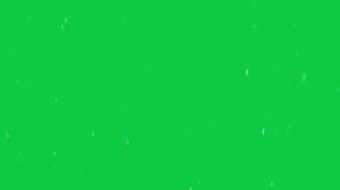 Yeşil arka planda kar yağışı. İzole edilmiş arka planda kar yağıyor. Kar yağışı etkisi. Karlı bir hava. 4k video. Krom Anahtar