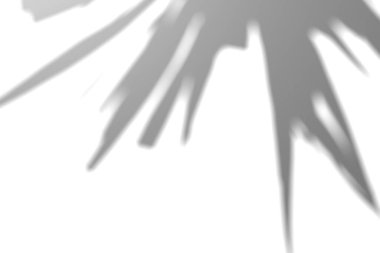 Egzotik bitki gölgesi. Yaprak gölgesi örtüsü. Güneş ışığı yaprakların arasından süzülüyor. Doğanın organik gölgesi. Bulanık Yaprak gölgesi ve arka planda ışık. 3d oluşturma