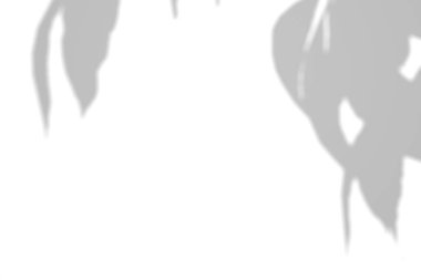 Ağaç dalı gölgesi. Ağaç gölgeleri örtüyor. Yaz güneşi yaprakların arasından süzülüyor. Doğanın organik gölgesi. Bulanık Yaprak gölgesi ve arka planda ışık. 3d oluşturma