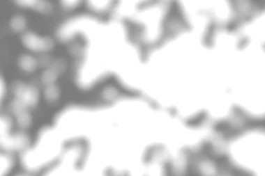 Ağaç dalı gölgesi. Ağaç gölgeleri örtüyor. Yaz güneşi yaprakların arasından süzülüyor. Doğanın organik gölgesi. Bulanık Yaprak gölgesi ve arka planda ışık. 3d oluşturma