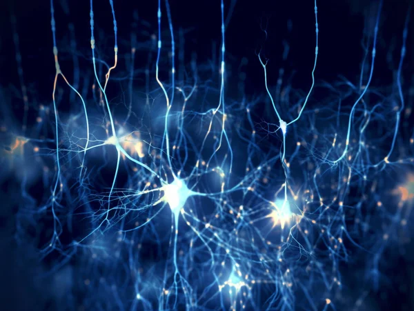 Neuronas Piramidales Marcadas Por Fluorescencia Las Señales Sinápticas Son Claramente —  Fotos de Stock