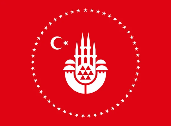 火鸡旗 伊斯坦布尔市和红色背景 3D插图 — 图库照片
