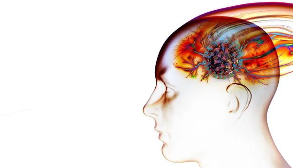 Человеческая Голова Окрашенная Абстрактным Мозгом Белой Фоновой Иллюстрацией — стоковое фото