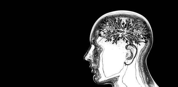 Человеческая Голова Окрашенная Абстрактным Мозгом Черной Фоновой Иллюстрацией — стоковое фото
