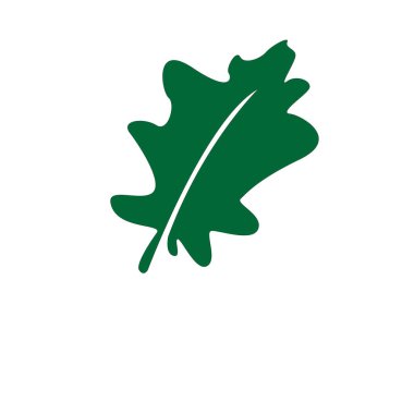 modello struttura vettoriale di foglia di querciaMeşe yaprağı vektör tasarım şablonu.