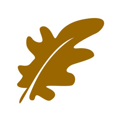 modello struttura vettoriale di foglia di querciaMeşe yaprağı vektör tasarım şablonu.