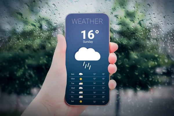Дощова Погода Прогноз Погоди Осінь Жінка Тримає Мобільний Телефон Дивиться — стокове фото