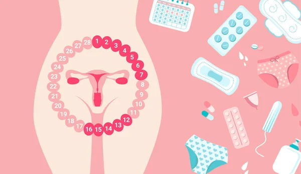 女性月经周期 女性生殖系统 粉红背景下分离的子宫器官和女性卫生设备 — 图库矢量图片