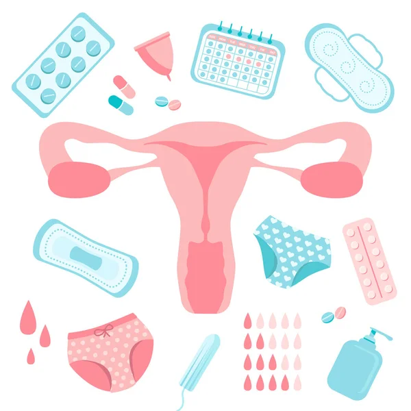Menstruationscykel Uppsättning Objekt Isolerade Vit Bakgrund Livmoder Trosor Hormonella Piller — Stock vektor