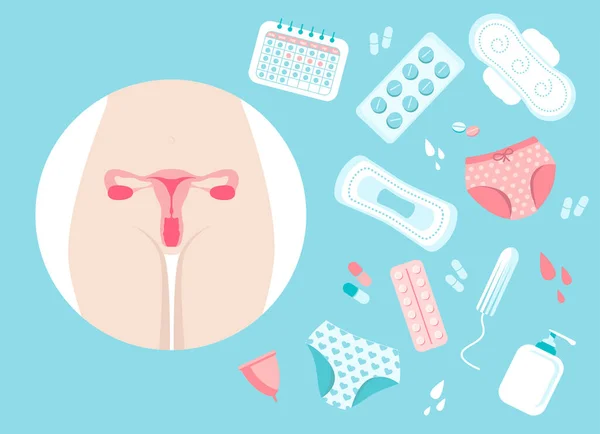 Menstruationscykel Uppsättning Objekt Isolerade Vit Bakgrund Livmoder Trosor Hormonella Piller — Stock vektor