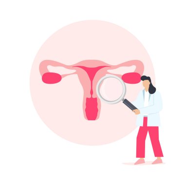 Kadın rahminin jinekolojik muayenesi. Doktor elinde bir büyüteç tutuyor ve beyaz arka planda izole edilmiş dişi uterusun yapısını inceliyor.