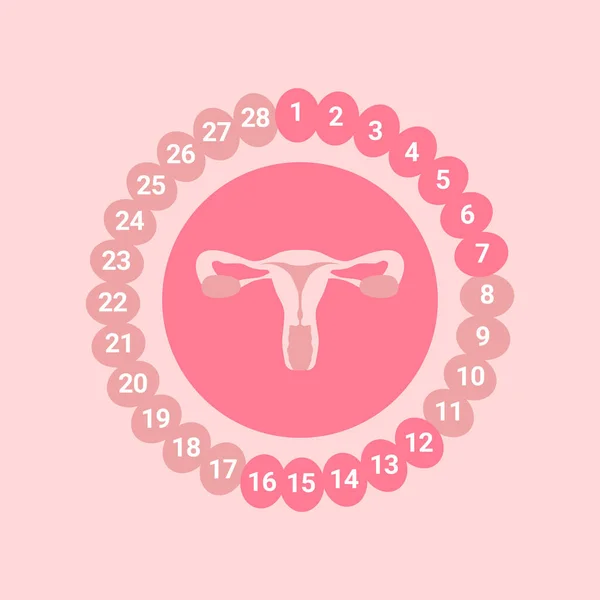 Menopauzální Koncept Ženskou Dělohou Růžovém Pozadí — Stockový vektor