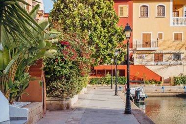 Palmiye ağaçları ve özel evleri olan bulanık bir sokak.