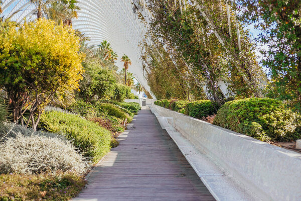 park garden with palm trees in nature background, green bokeh light outdoor in summer background