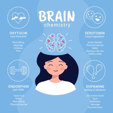 Brain chemistry. Scheme of happiness hormones oxytocin, serotonin, dopamine, endorphin clipart