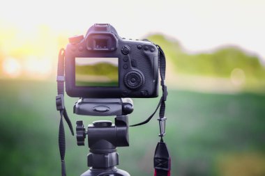 Gün batımında parkta yeşil çimlerin üzerinde bir tripodla kamera çekmek. Kamera kurulumu. Düşük ışıkta çekim yapmak