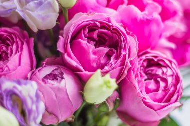 Çiçeklerin, şakayıkların, güllerin dokusu. Şapka kutusunda çiçek aranjmanı. Şakayık buketi, coşku, pembe bir kutuda gül, beyaz bir arka planda vaha.