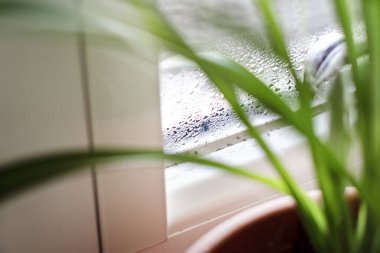 Pencere camındaki su yoğunlaşmasına odaklan. Evdeki nem oranı. Ev nemi. Kış iç sorunları.