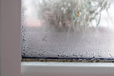 Pencere camındaki su yoğunlaşmasına odaklan. Küflü pencere. Evdeki nem oranı. Ev nemi..