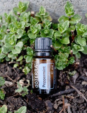 Yüksek kaliteli Doterra yağı markası. Nane esaslı yağ. Sağlık ve refah kavramı. Doğa arkaplanı.