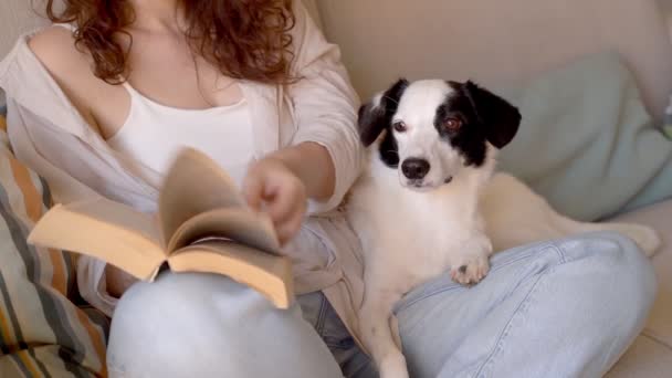 Mulher Jeans Azul Sentado Sofá Sala Estar Segurando Ler Livro — Vídeo de Stock