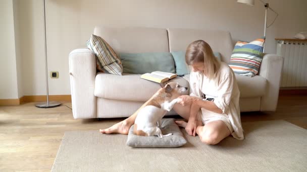 Mulher Bonita Loira Sentada Chão Com Seu Pequeno Cão Jack — Vídeo de Stock