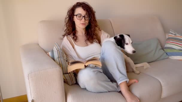 Cão Adorável Com Mulher Sofá Lendo Livro Cão Estimação Sorrindo — Vídeo de Stock