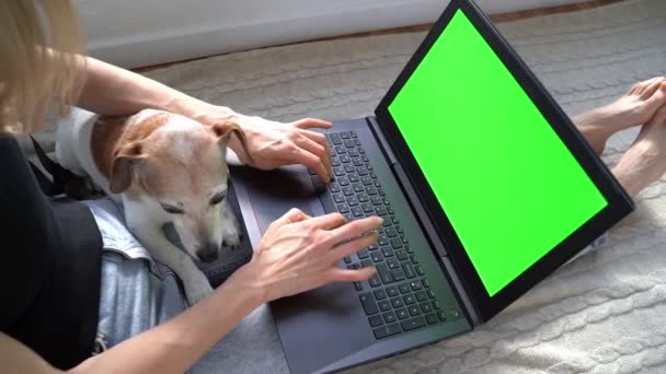 Chroma Chave Tela Verde Laptop Mulher Com Cão Trabalhando Partir — Vídeo de Stock