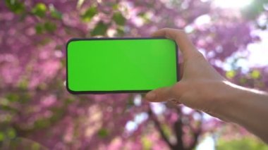 Pembe ağaç arka planında yeşil renkli ekranlı yatay cep telefonu. Şablon 4k video görüntüsünü hareketlendir. 