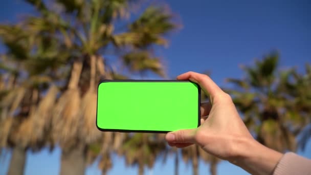 Main Tenant Téléphone Portable Avec Écran Vert Chromatique Palmiers Sur — Video