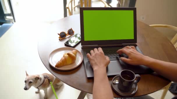 카페에서 작업하는 스크린 노트북입니다 프리랜서는 데리고 바깥에서 일합니다 템플릿 비디오 — 비디오
