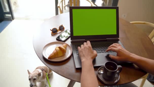 緑のクロマキー画面のノートパソコンを使ってペット犬とカフェのコワーキングスペースでのリモートワーク テンプレートビデオ映像 サングラスとクロワッサンランチタイム — ストック動画