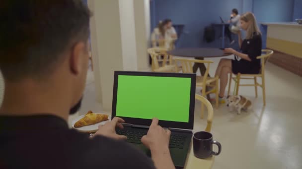 カフェの同僚の人がノートパソコンに緑色のクロマキー画面を入力してる 青い壁の暗いインテリア 机の上に座っている金髪の女の子を背景に犬とコーヒーを飲みます ビデオ映像 — ストック動画
