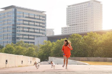 İki küçük Jack Russell teriyeriyle koşan aktif bir genç kız. Şehirde yaz yürüyüşü. Birkaç çılgın köpekle eğlenceli koşu. Büyük şehirde yaz, aktif şehir arka planında kal
