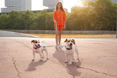 İki köpekle yürümek. Turuncu günlük spor elbiseli kız çift tasmalı iki küçük Jack Russell teriyeriyle yürüyor. Büyük şehirde yaz güneşli tatil zamanı. Hayvanınla zaman geçir..