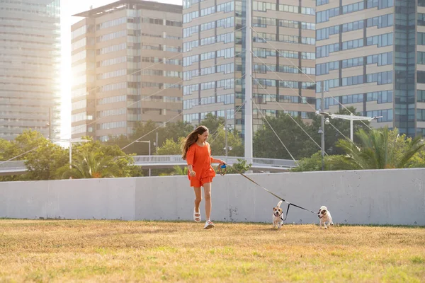 stock image Teenager girl in orange clothes enjoying playing running with two small Jack Russell terriers. Fun summer mood sunlight. Happy moments with pets in big city urban background