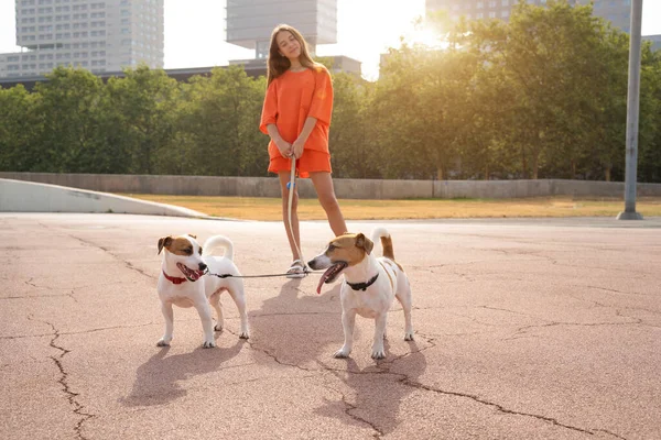 stock image Young teen girl in orange sporty clothes. Two small cute Jack Russell terrier dogs walking with double leash. Sunny summer walk with pets in the city, Horizontal composition