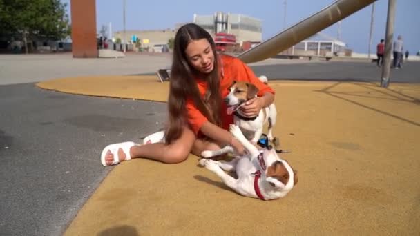 Dois Cães Menina Adolescente Cabelos Longos Parque Infantil Feliz Sorrindo — Vídeo de Stock