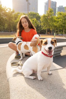 Mutlu ağaç arkadaşlar. Sevimli Jack Russell Terrier köpeği olan genç kız, kameraya bakan genç kız. Yaz tatili havası. Parlak turuncu renkli giysiler