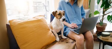 Kafede küçük köpeği Jack Russell Terrier ile oturan bir kadın. Uzaktan çalışma ya da evcil hayvan dostu çalışma alanı ile çalışma. Uzun yatay bayrak 