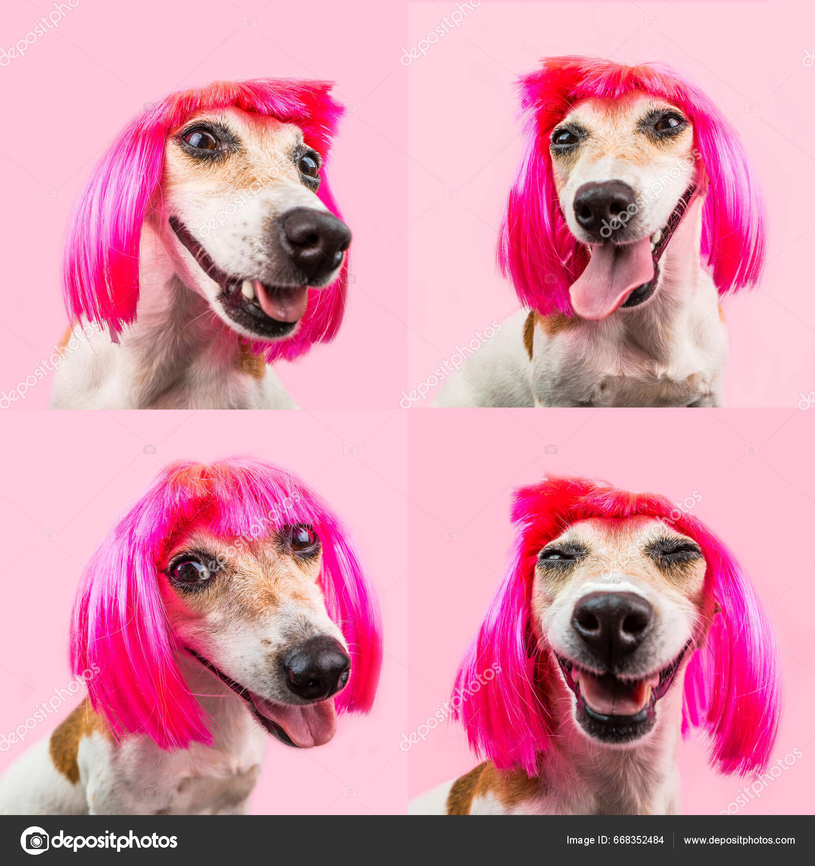 大眼青蛙行李牌，旅行也超治愈！_动漫挂件_淘宝游戏网, image size:1600x1700