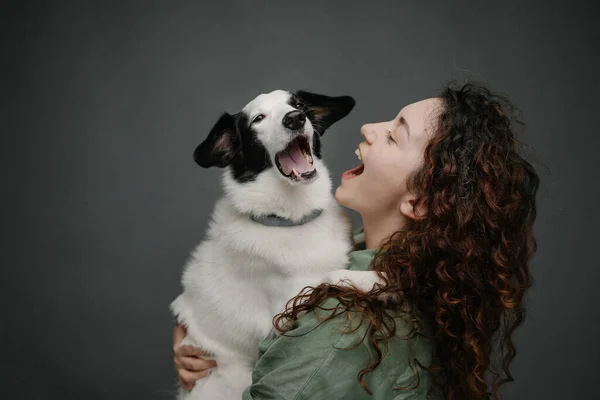 一头卷曲的长发 张着嘴 面对着可爱的宠物打呵欠的女人 抱着边境牧羊犬开心地笑着开玩笑 灰色背景拍摄 — 图库照片
