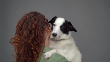 Uzun kıvırcık saçlı bir kadın sakin suratını kucaklıyor ve Collie Dog kameraya bakıyor. Gri arka plan stüdyo. Hayvan zihinsel desteği. Aşk ve güven temalı video görüntüleri