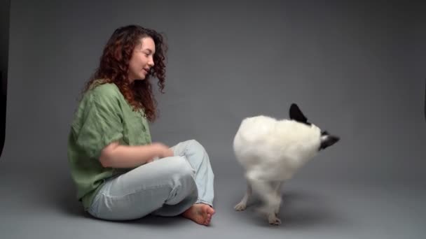 快乐的卷发女人训练玩狗儿 做手脚和指挥 转过去 一个有着灰色单色背景的女人坐在工作室的地板上 宠物朋友主题视频镜头 — 图库视频影像