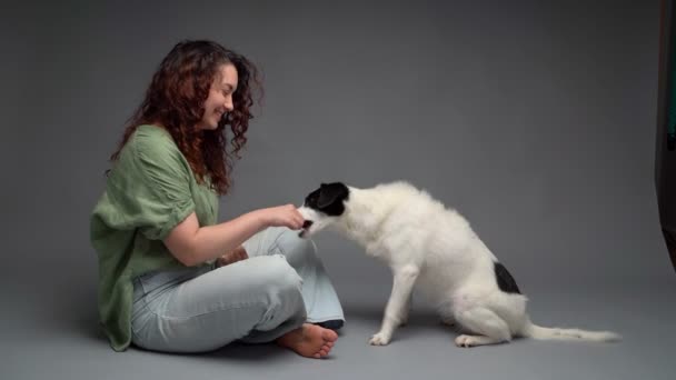 Mujer Sonriente Jeans Pelo Rizado Pidiendo Perro Que Siga Orden — Vídeo de stock