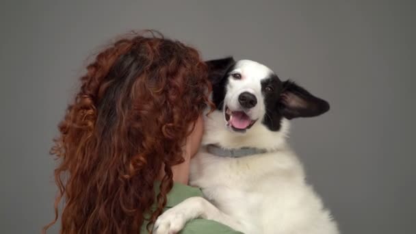 Back Woman Long Curly Hair Holding Her White Border Collie — Stock Video
