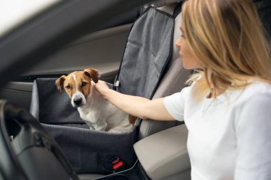 Güvenli yolculuklar arabayla. Ciddi yüzlü sevimli bir köpek. Köpek, arabanın ön koltuğunda hamakta oturuyor. Sarışın genç sürücü kız evcil hayvanını okşuyor. Köpeğe odaklan, kız bulanık.