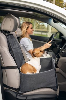 Arabayla yolculuğa hazırız. Güzel sarışın kadın araba kullanıyor. Köpek yardımcı pilotu, ön koltukta hamakta oturuyor. Konsantrasyonunu bozmadan ileriye bakıyor. Öndeki köpek odaklanmış, kız bulanıklaşmış.  