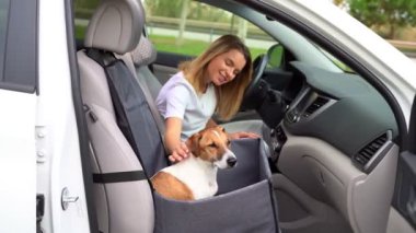 Araba gezisinde mola verirken sevimli köpek arkadaşını okşamak. Köpek, arabanın ön koltuğunda hamakta oturuyor. Sarışın genç sürücü kız köpeği Jack Russell Terrier 'ı okşuyor. Video görüntüleri
