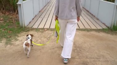 Beyaz pantolonlu, köpekli bir kadın tasmalı Jack Russell teriyeri ahşap bir köprüye doğru yürüyor. Arkadan bak. Video görüntüleri